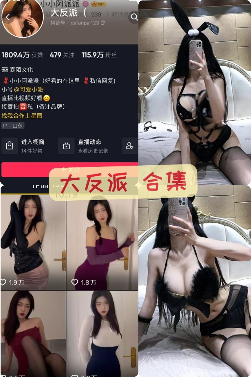 抖音纯欲美女 大反派微密圈私人写真视频合集