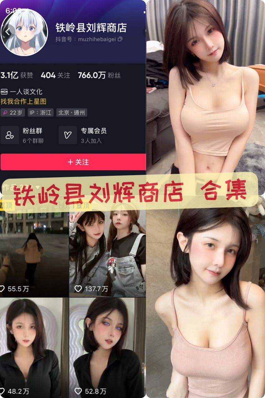 纯欲美女 铁岭县刘辉商店微密圈擦边视频合集